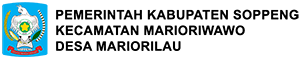 Website Desa Mariorilau